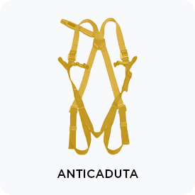 Anticaduta