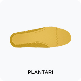 Plantari